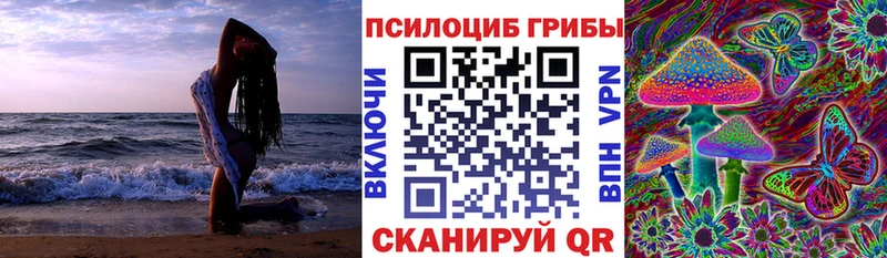 Купить закладки  Калачинск  Псилоцибиновые грибы MAGIC MUSHROOMS 